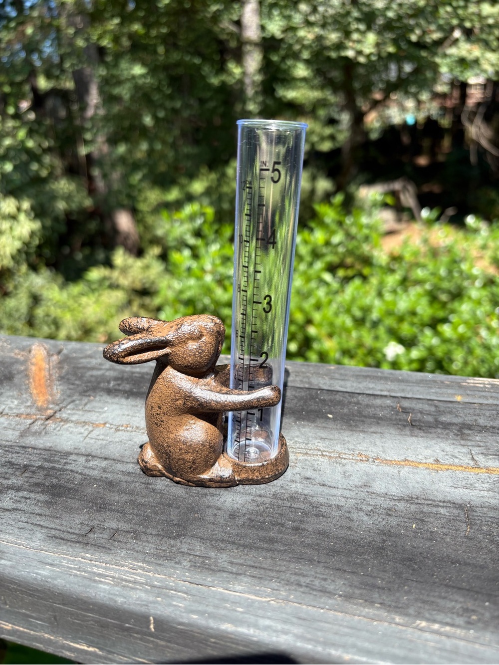 Cast Iron Rabbit Rain Gauge